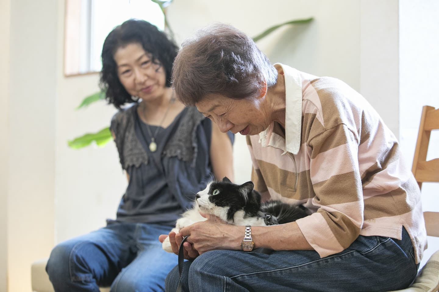 おばあちゃんを労わる家族の写真・カメラマン山﨑美蔓